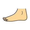 Bare foot, side view, illustration